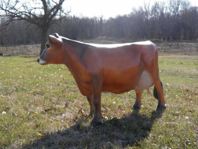 life size cow, Cheese Cow,jersey cow,cow yard art,dairy cow,fiberglass cow