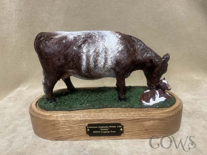 Beef Breeds Portrait color - Image 3