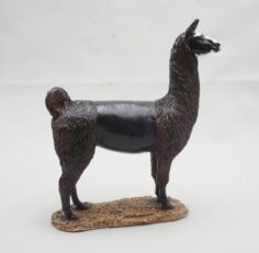 Llama